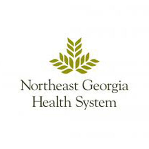 NE-Georgia-Health-System-in-Box